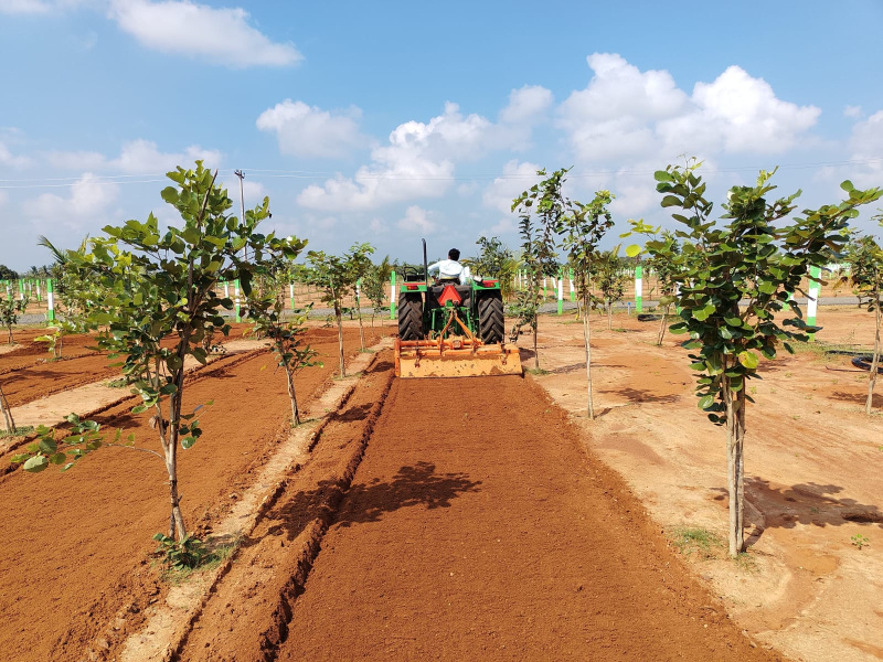  Agricultural Land 12000 Sq.ft. for Sale in Melmaruvathur, Chennai
