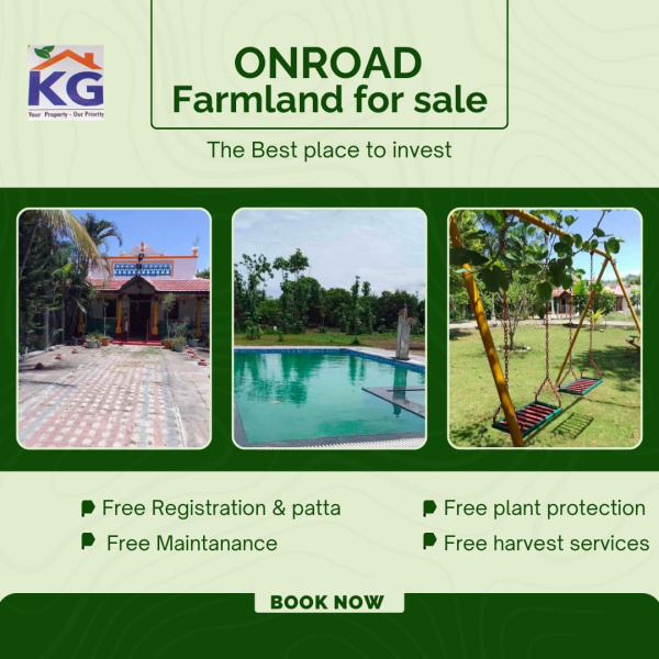  Agricultural Land 10000 Sq.ft. for Sale in Tindivanam, Villupuram