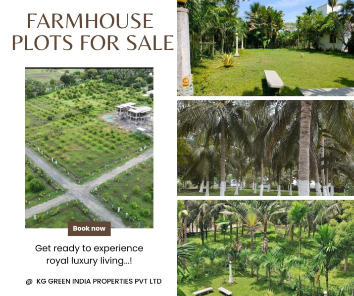  Agricultural Land 10000 Sq.ft. for Sale in Tindivanam, Pondicherry