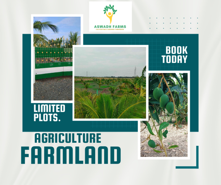  Agricultural Land 9600 Sq.ft. for Sale in Thirukazhukundram, Chennai