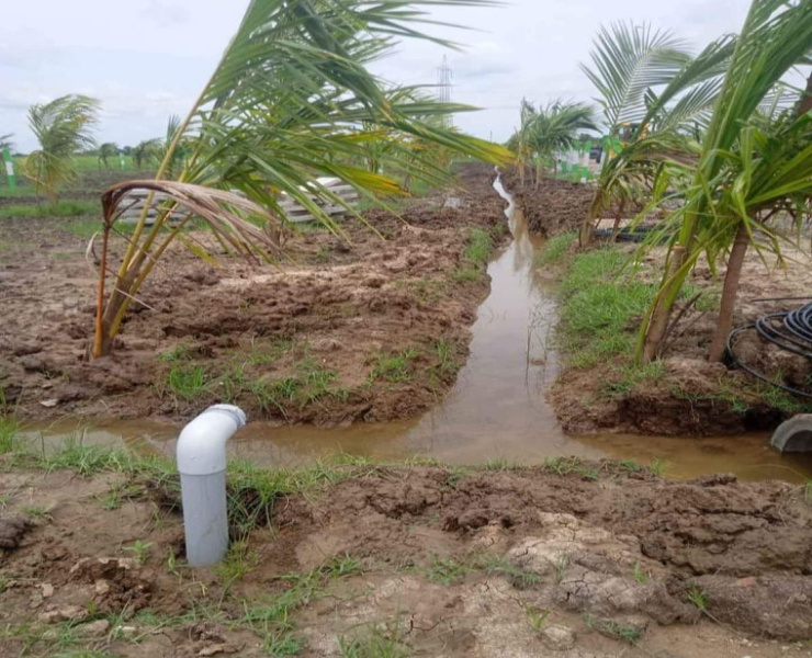  Agricultural Land 9600 Sq.ft. for Sale in Thirukazhukundram, Chennai