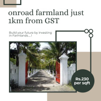  Agricultural Land for Sale in Tindivanam, Pondicherry