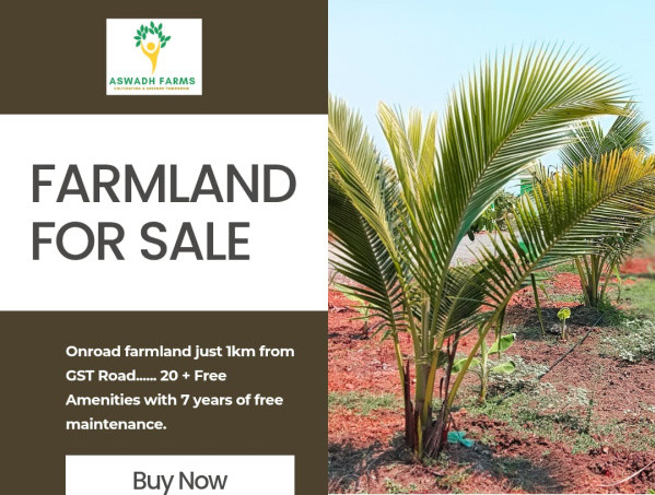  Agricultural Land 10000 Sq.ft. for Sale in Vittilapuram, Chengalpattu