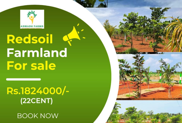  Agricultural Land 10000 Sq.ft. for Sale in Koonimedu, Pondicherry