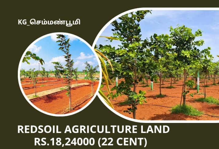  Agricultural Land 10000 Sq.ft. for Sale in East Coast Road, Pondicherry
