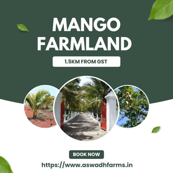  Agricultural Land 9800 Sq.ft. for Sale in Acharapakkam, Chengalpattu