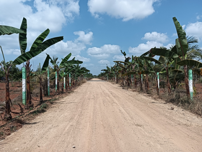  9600 Sq.ft. Agricultural/Farm Land for Sale in Balaji Nagar, Chennai