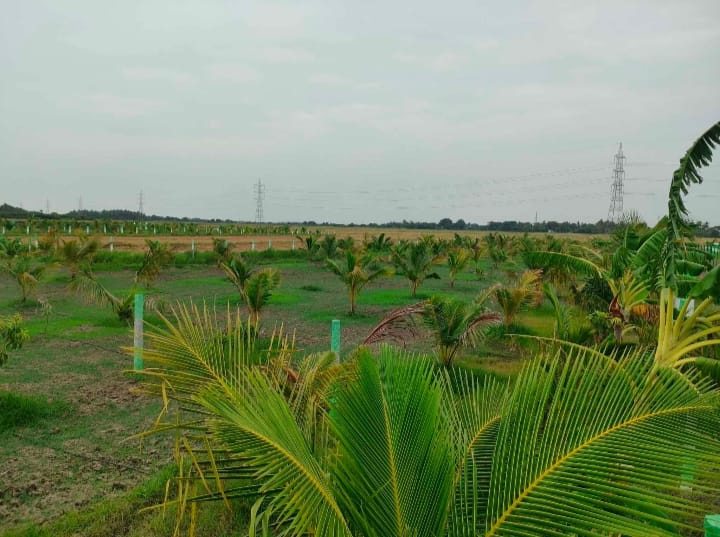  9600 Sq.ft. Agricultural/Farm Land for Sale in Uthiramerur, Kanchipuram