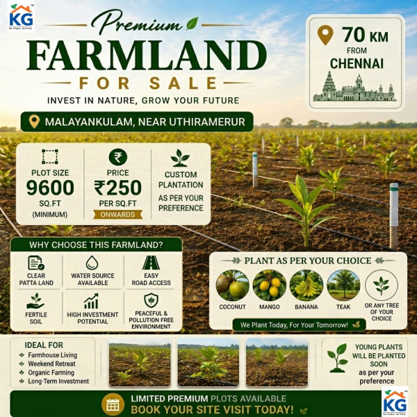  9600 Sq.ft. Agricultural/Farm Land for Sale in Cheyyar, Kanchipuram