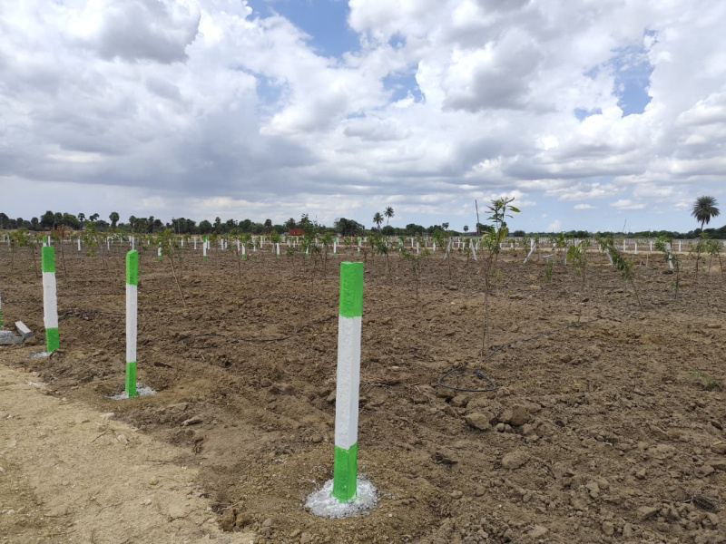  9600 Sq.ft. Agricultural/Farm Land for Sale in Salavakkam, Kanchipuram