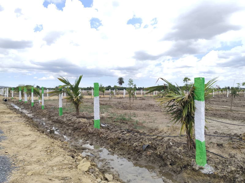  9600 Sq.ft. Agricultural/Farm Land for Sale in Palayaseevaram, Kanchipuram