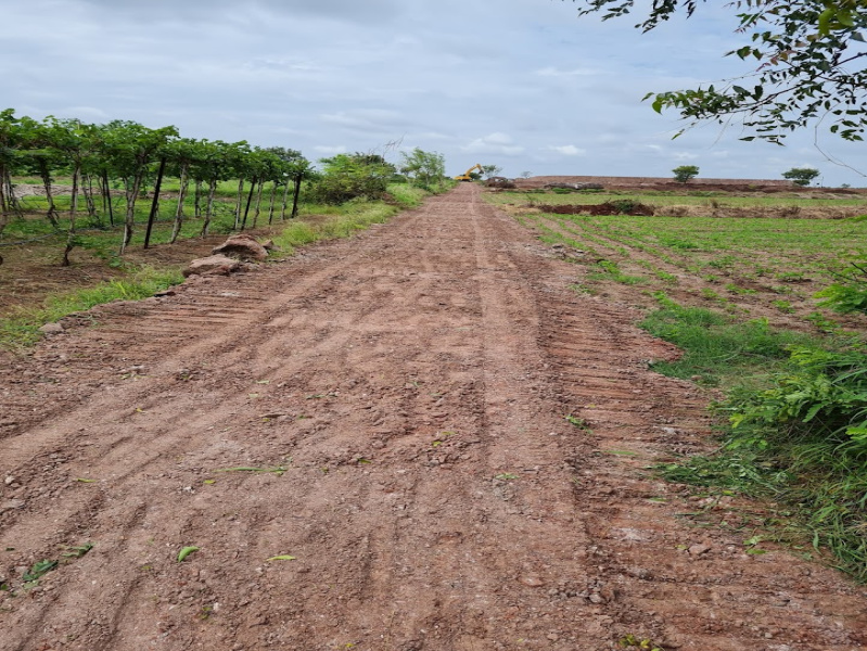  Agricultural Land 15 Acre for Sale in Jath, Sangli