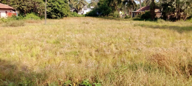  Residential Plot 30 Cent for Sale in Udyavara, Udupi