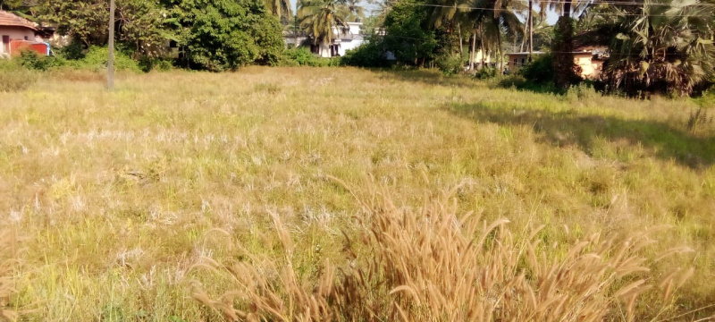  Residential Plot 30 Cent for Sale in Udyavara, Udupi