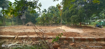  Residential Plot for Sale in Banarpal, Angul