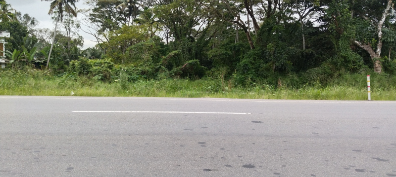  Commercial Land 2 Acre for Sale in Cherthala, Alappuzha