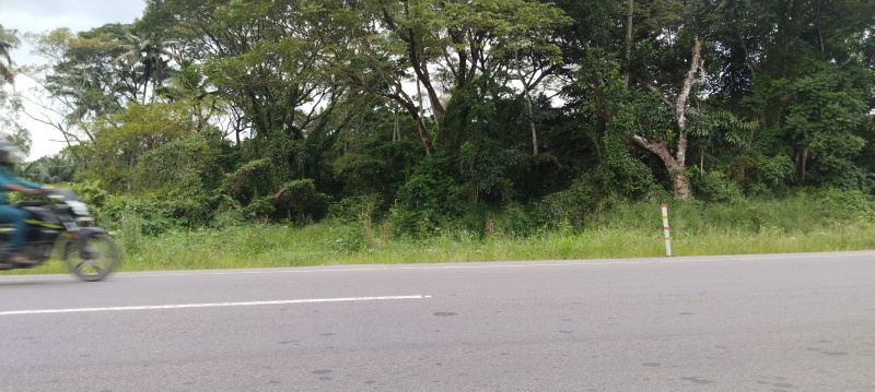  Commercial Land 2 Acre for Sale in Cherthala, Alappuzha