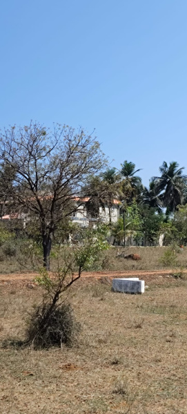  Residential Plot 1800 Sq.ft. for Sale in Guduvancheri, Chennai