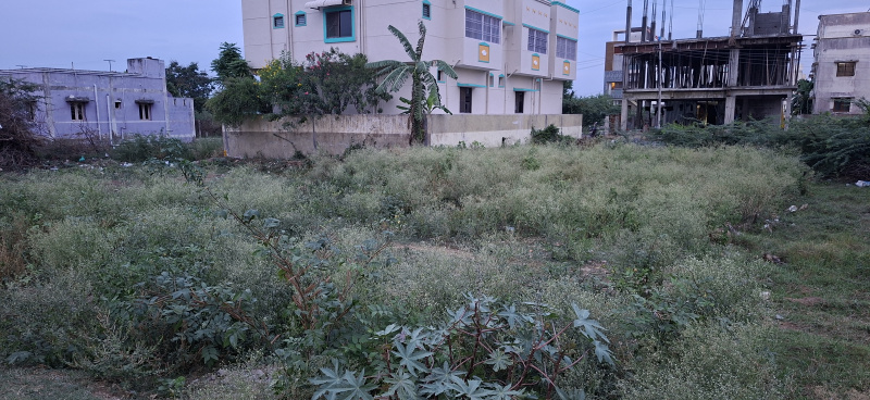  Residential Plot 2754 Sq.ft. for Sale in Potheri, Chennai