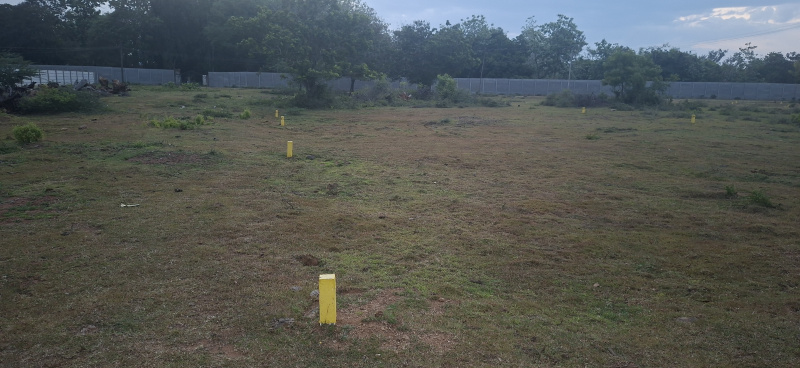  Residential Plot 2754 Sq.ft. for Sale in Potheri, Chennai