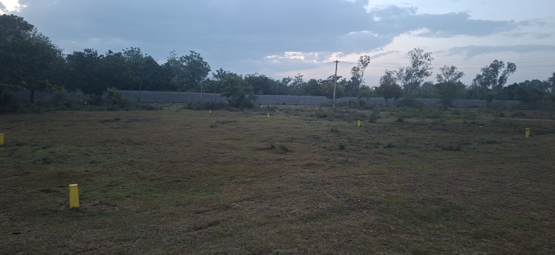  Residential Plot 2754 Sq.ft. for Sale in Potheri, Chennai