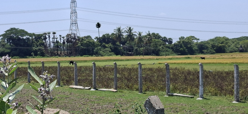  Agricultural Land 100 Cent for Sale in Chengalpet, Chennai