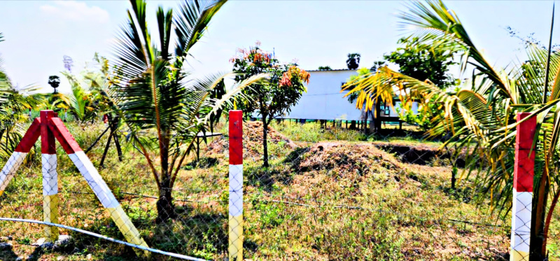  10000 Sq.ft. Agricultural/Farm Land for Sale in Maduranthakam, Chengalpattu