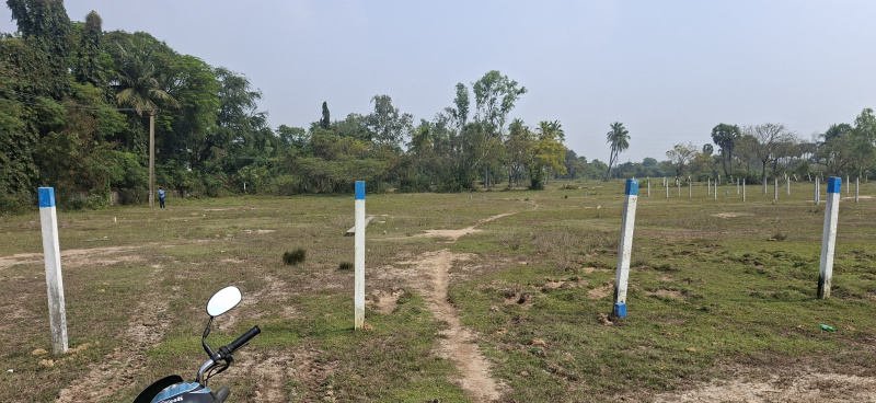  1758 Sq.ft. Residential Plot for Sale in Chengalpet, Chennai