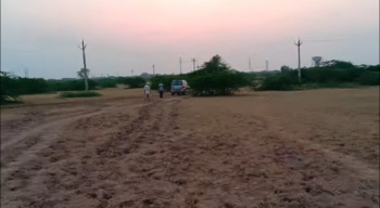  Agricultural Land for Sale in Vallabhipur, Bhavnagar