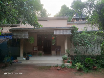 3 BHK House for Sale in Mala, Thrissur