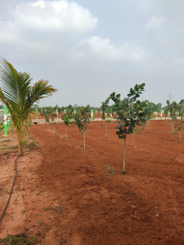  Agricultural Land for Sale in Madurantakam, Kanchipuram