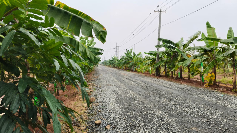  9600 Sq.ft. Agricultural/Farm Land for Sale in Cheyyur, Chengalpattu