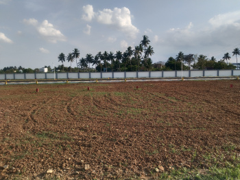  Commercial Land for Sale in Madurai Road, Tiruchirappalli