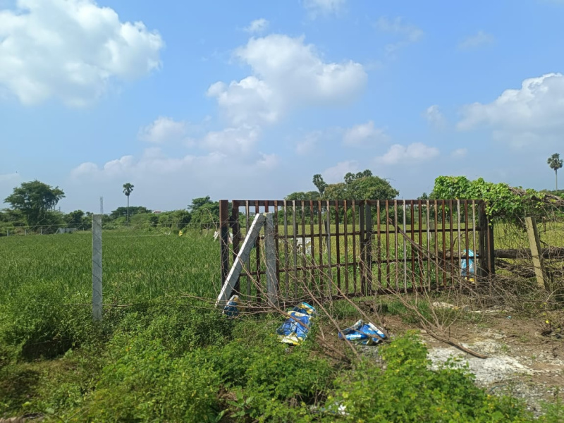  Agricultural Land 150 Cent for Sale in Kattankulathur, Chennai