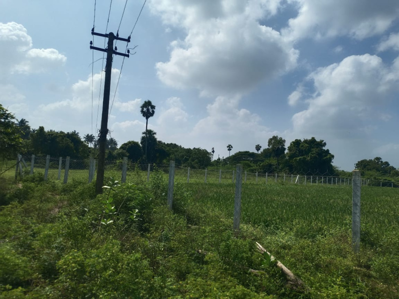  Agricultural Land 150 Cent for Sale in Kattankulathur, Chennai