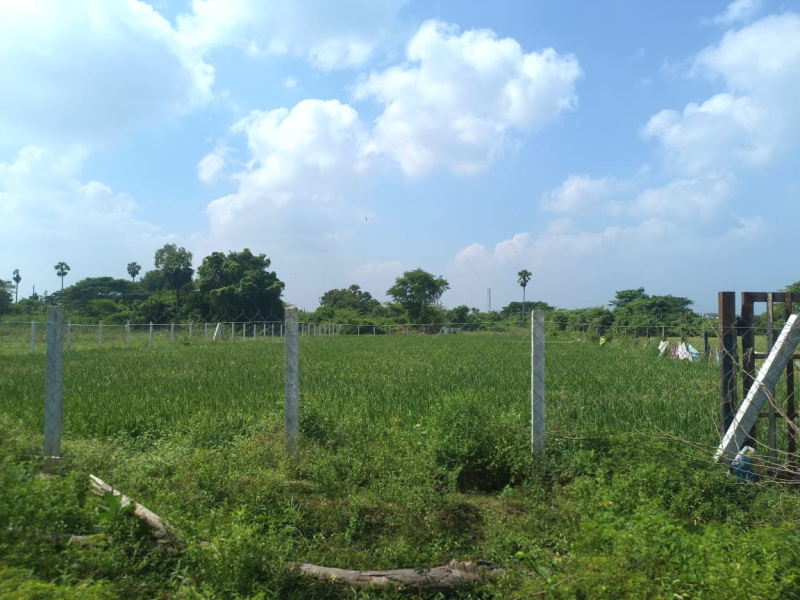  Agricultural Land 150 Cent for Sale in Kattankulathur, Chennai