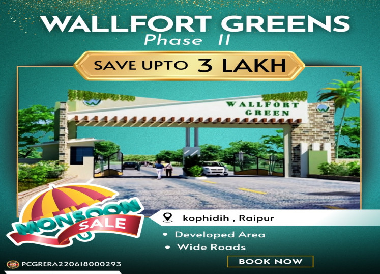  Residential Plot 1000 Sq.ft. for Sale in Amleshwar, Raipur