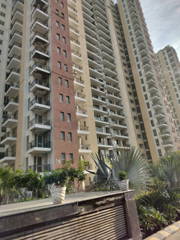 3 BHK Flat for Sale in Sector 37C Gurgaon