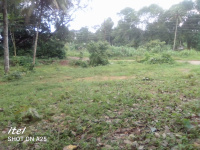 Residential Plot for Sale in Kottarakkara, Kollam