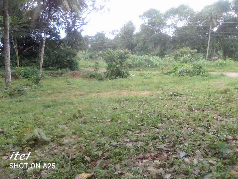  Residential Plot 23 Cent for Sale in Kottarakkara, Kollam