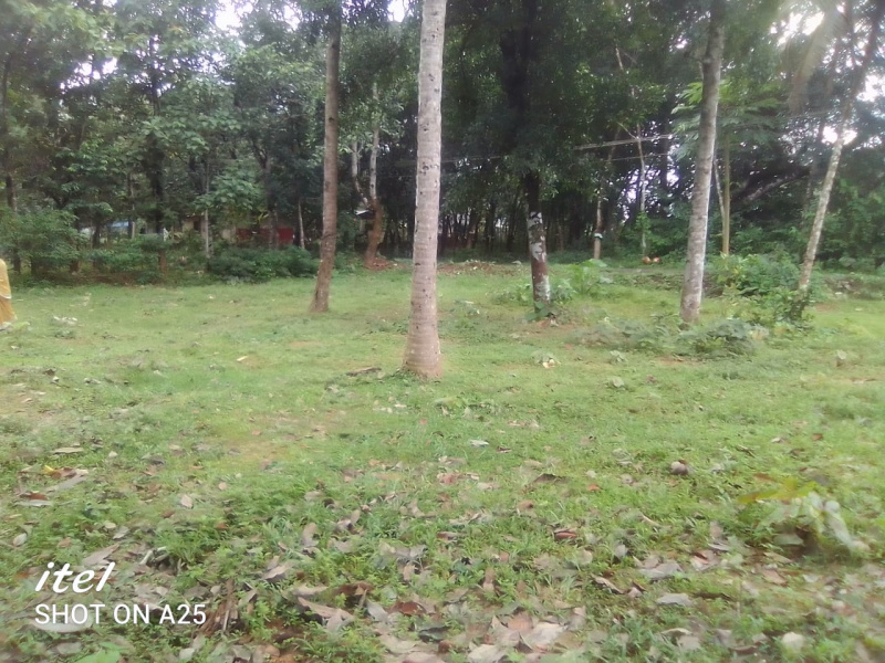  Residential Plot 23 Cent for Sale in Kottarakkara, Kollam