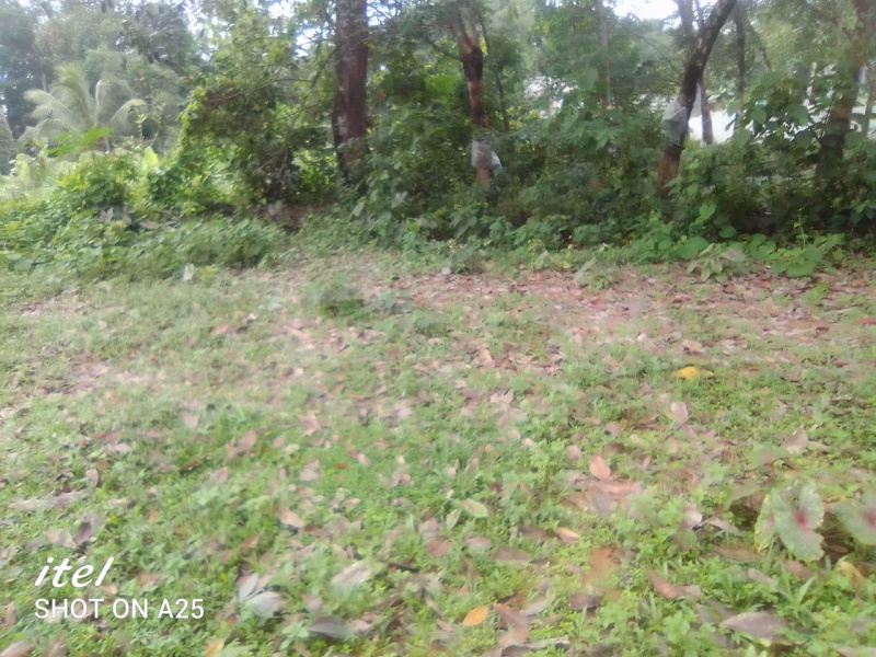  Residential Plot 23 Cent for Sale in Kottarakkara, Kollam