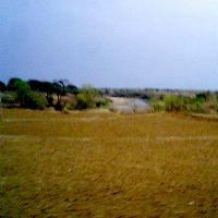  Agricultural Land for Sale in Chandia, Umaria