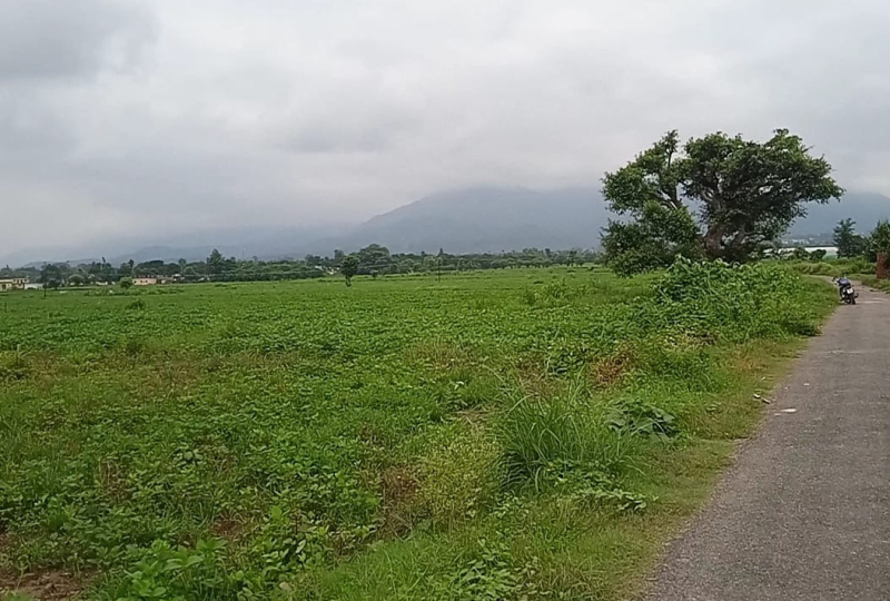  Agricultural Land 1800 Sq. Yards for Sale in Addakal, Mahbubnagar