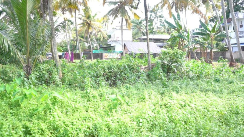  Residential Plot 30 Cent for Sale in Netoor, Kochi