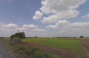  Agricultural Land for Sale in Kalwa Chowk, Junagadh