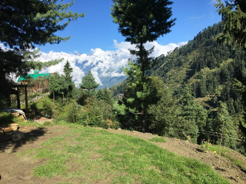  Residential Plot 5 Bigha for Sale in Naggar Road, Manali