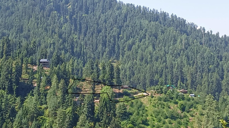  Residential Plot 5 Bigha for Sale in Naggar Road, Manali