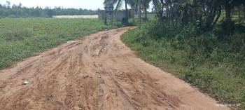  Residential Plot for Sale in Malur, Kolar