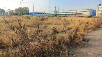  Residential Plot for Sale in Narsapura, Kolar